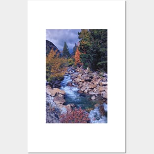 Autumn on Chalk Creek Posters and Art